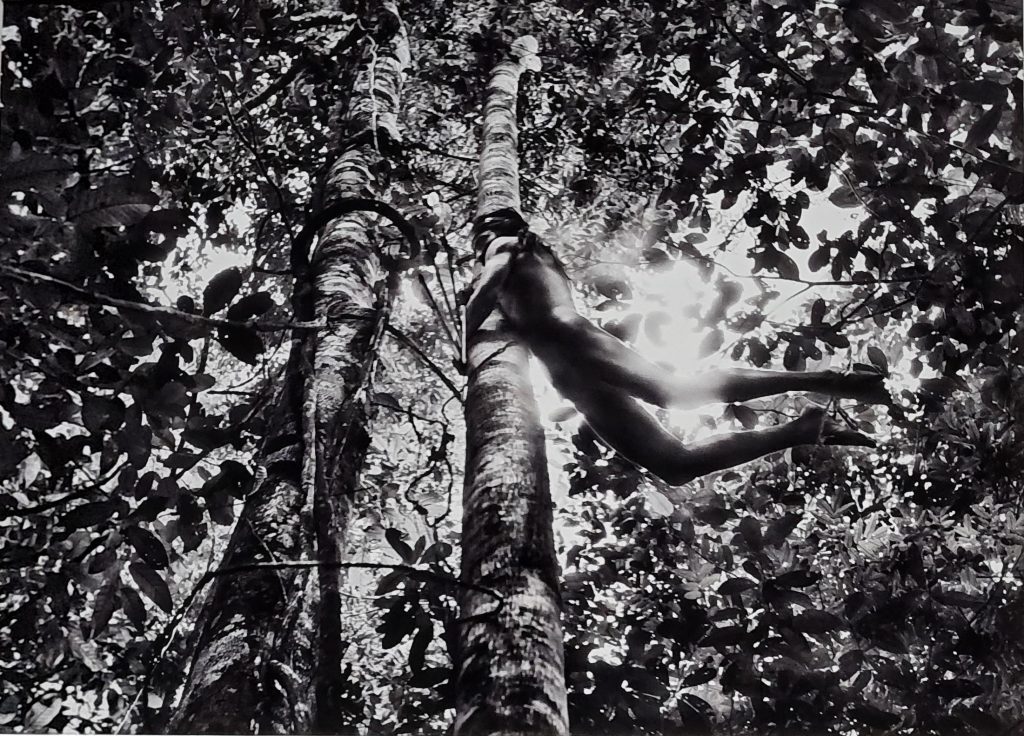 Salgado al Maxxi Amazzonia Salgado