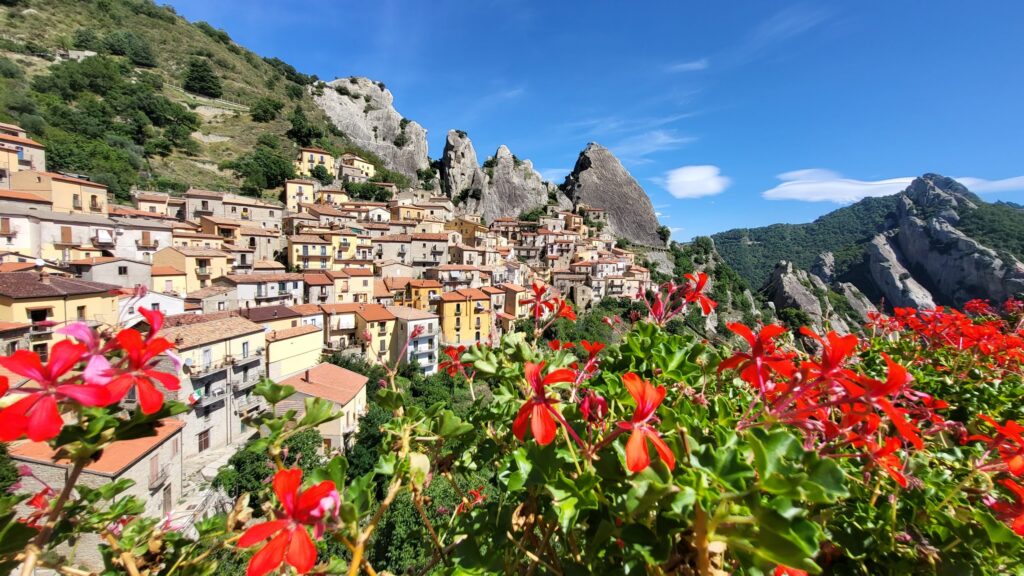 Lucania
