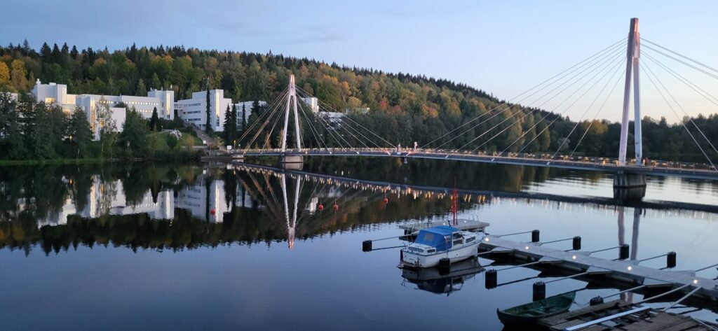 Esplorando il cuore della Finlandia del Sud: Un Tour Indimenticabile - lago Jyväsjärvi 