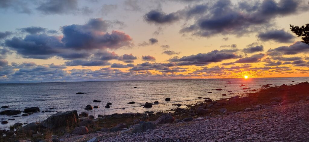 Esplorando il cuore della Finlandia del Sud: Un Tour Indimenticabile - Reposari